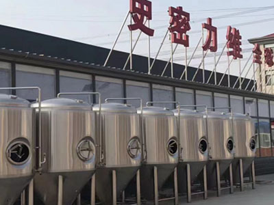 石家庄精酿啤酒设备厂—如何判断精酿啤酒设备的密封件需要更换？